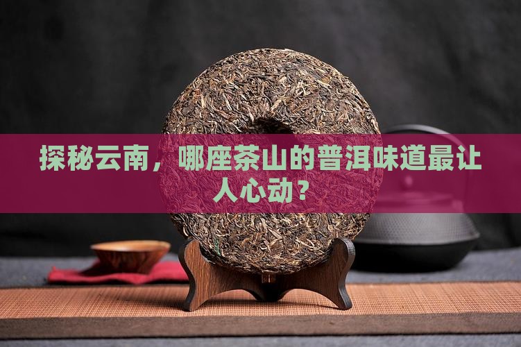 云南普洱茶山头