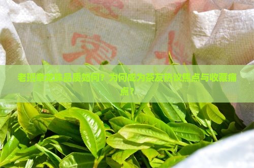 老班章龙珠怎么样
