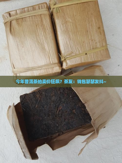 今年普洱茶拍卖价格