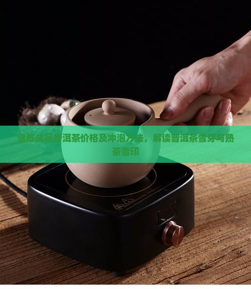 雪陈成品普洱茶