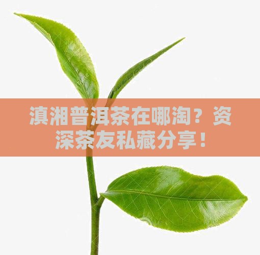 滇湘普洱茶哪里买