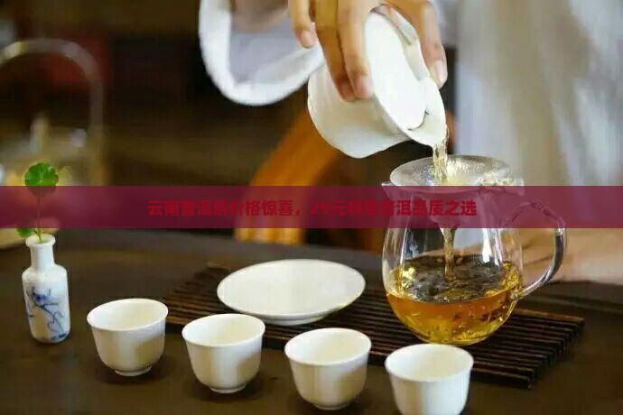 云南普洱茶29元
