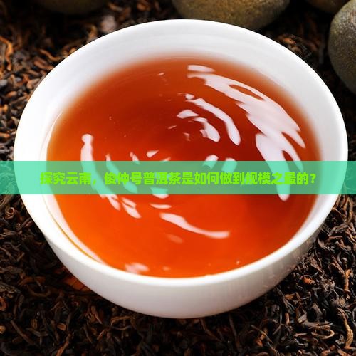 俊仲号普洱茶在云南的规模