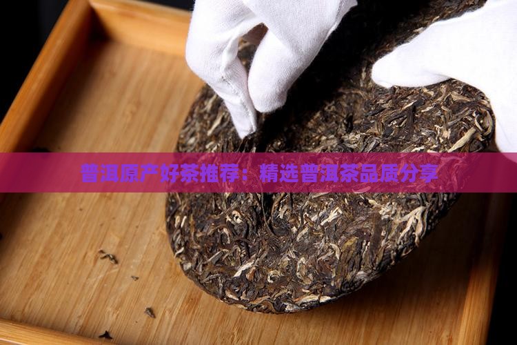 普洱茶原产地好茶分享