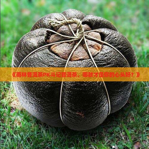 雨林普洱茶与斗记普洱茶