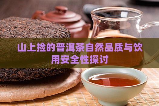 山上捡的普洱茶