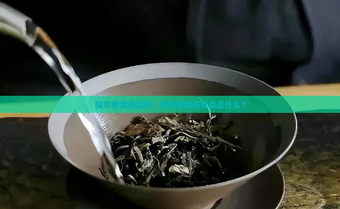 昔归普洱茶昔归是指什么