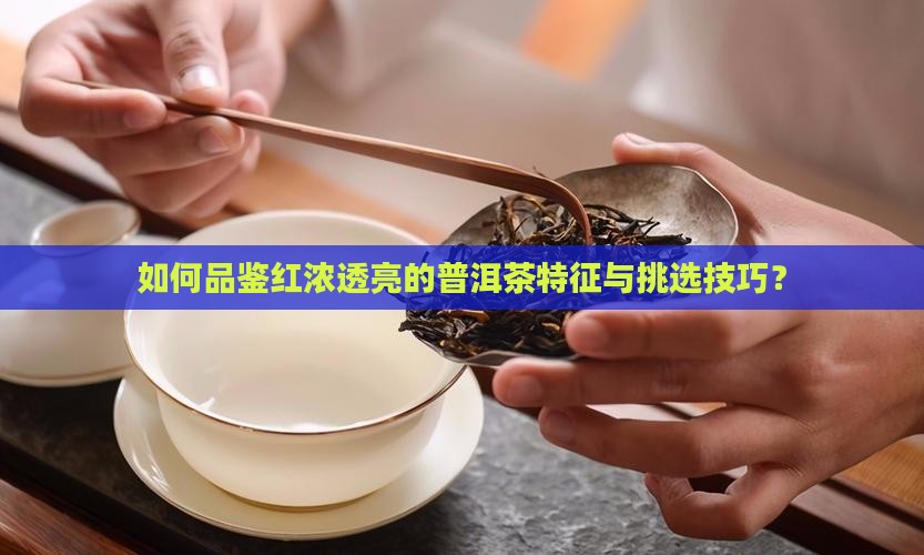 红浓透亮普洱茶