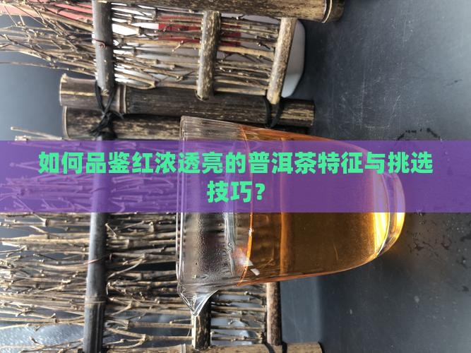 红浓透亮普洱茶