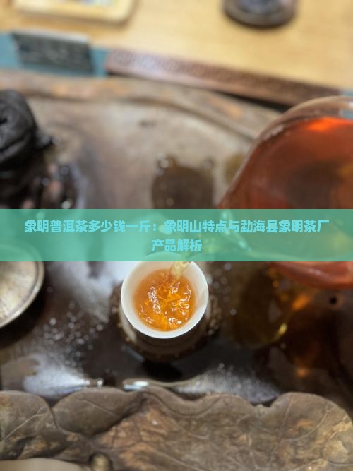象明普洱茶多少钱