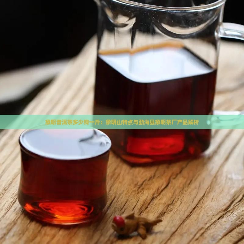 象明普洱茶多少钱