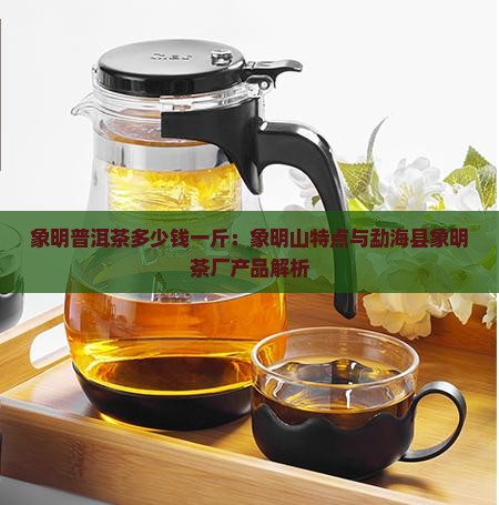 象明普洱茶多少钱