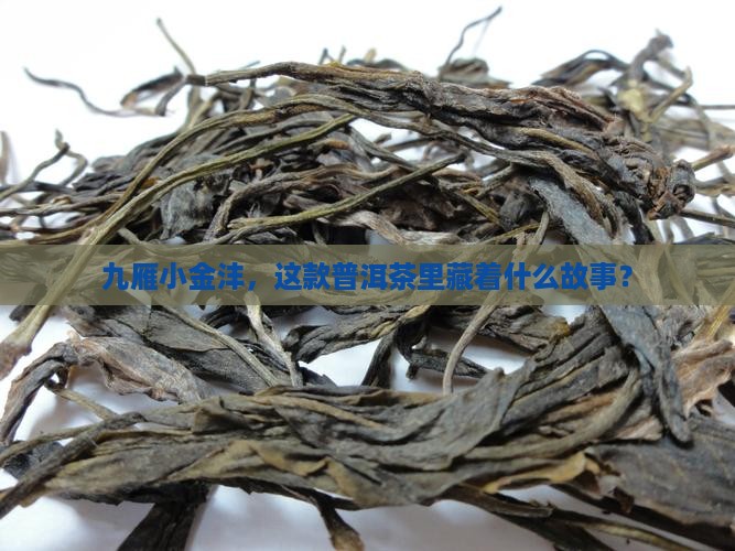 九雁小金沣普洱茶