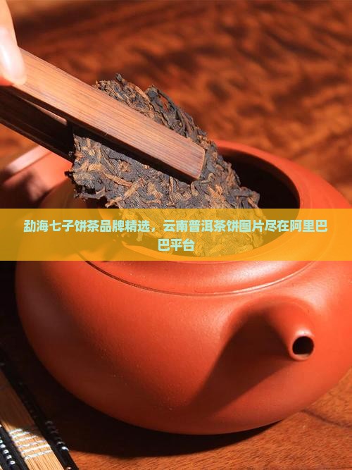 昭通勐海普洱茶饼