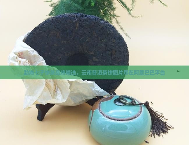 昭通勐海普洱茶饼