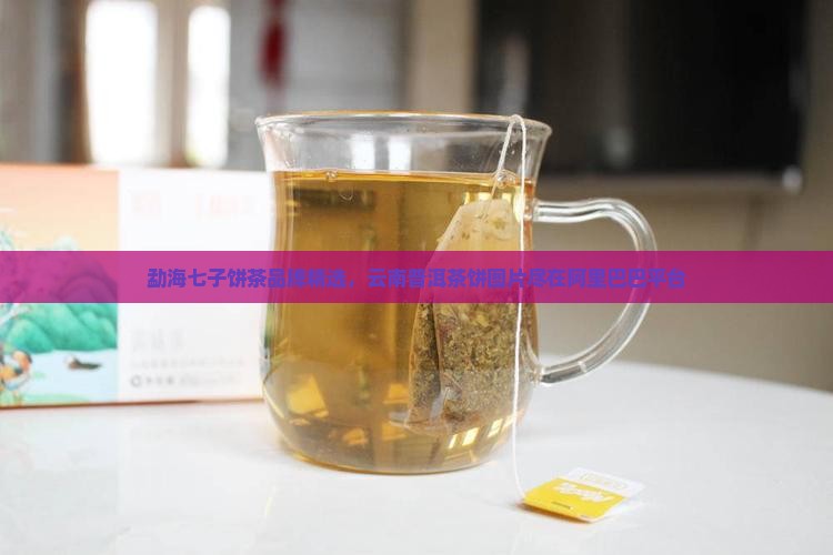 昭通勐海普洱茶饼