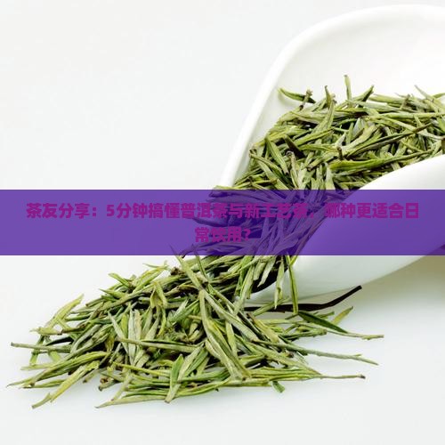 普洱茶和新工艺茶哪个好