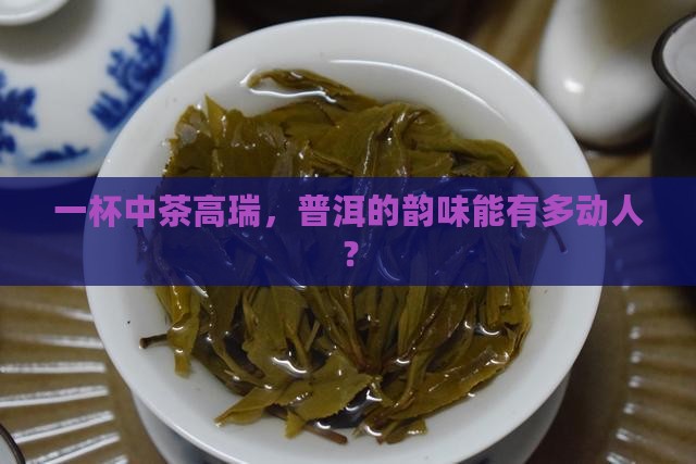 中茶高瑞普洱茶