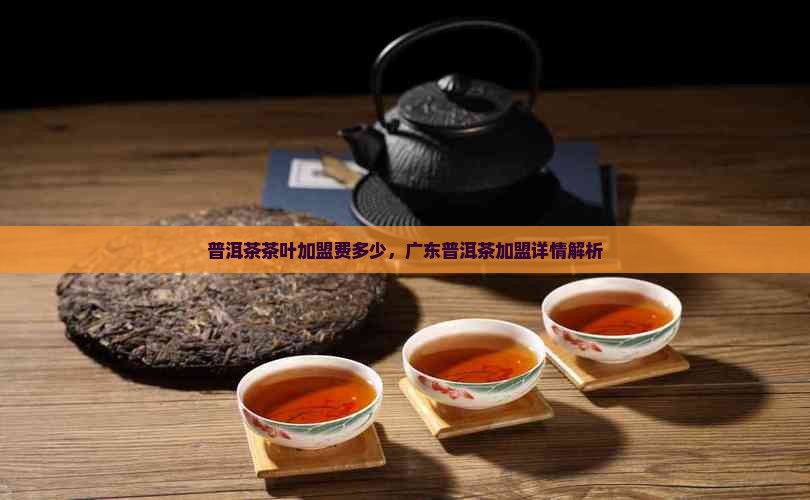 广东普洱茶加盟