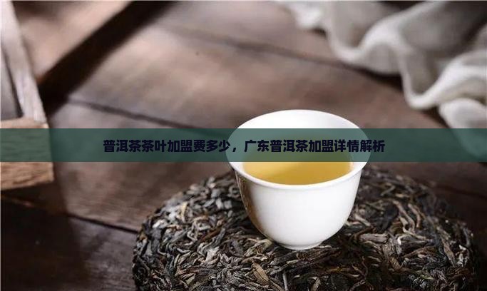 广东普洱茶加盟