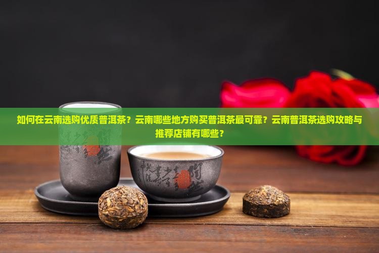 从云南哪买普洱茶