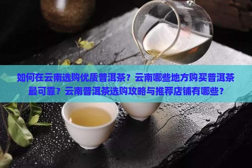 从云南哪买普洱茶