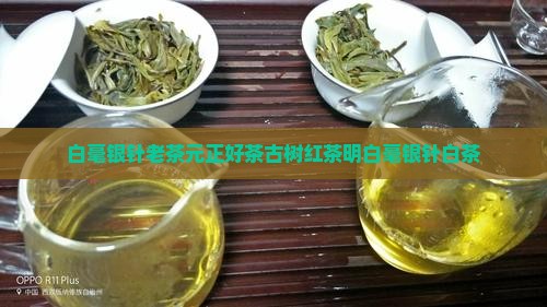 白毫银针老茶元正好茶古树红茶明