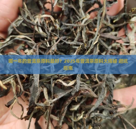 哪一年的普洱茶原料好
