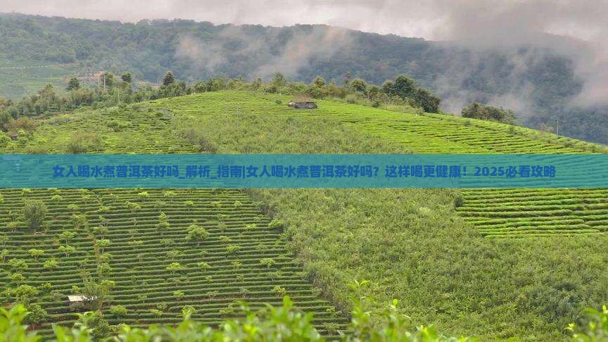 女人喝水煮普洱茶好吗
