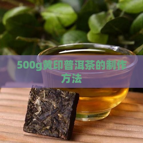 500g黄印普洱茶的做法