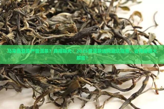 马来西亚原产普洱茶
