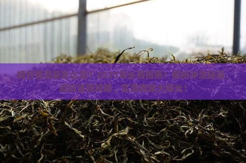 橘甘普洱茶怎么泡
