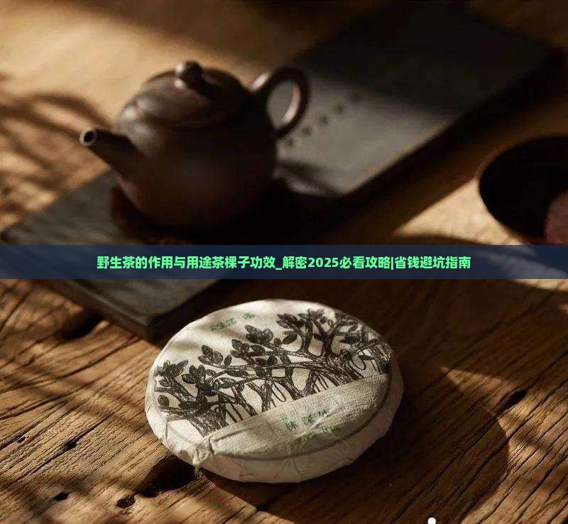 野生茶的作用与用途茶棵子功效