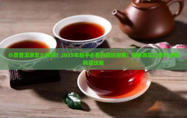 小贡普洱茶怎么样啊