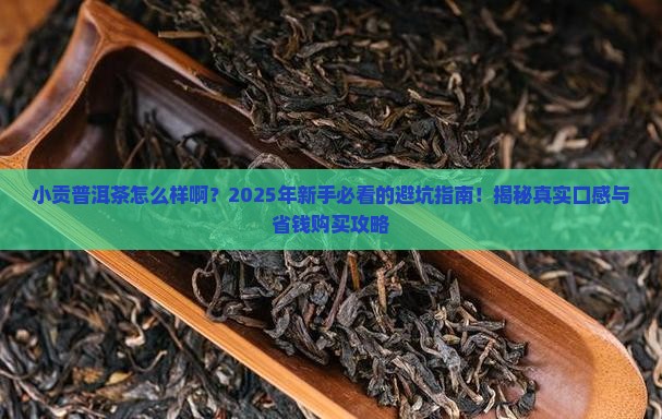 小贡普洱茶怎么样啊