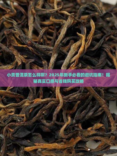 小贡普洱茶怎么样啊