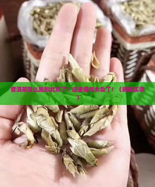 把普洱茶带到北京