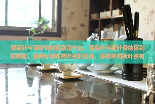 薄荷叶与荷叶茶的区别