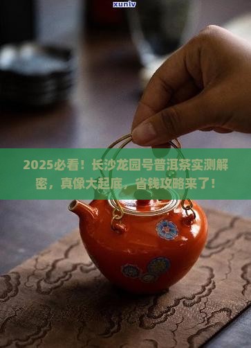 长沙龙园号普洱茶