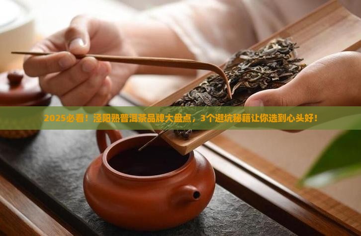泾阳熟普洱茶品牌
