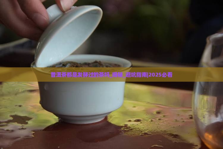普洱茶都是发酵过的茶吗