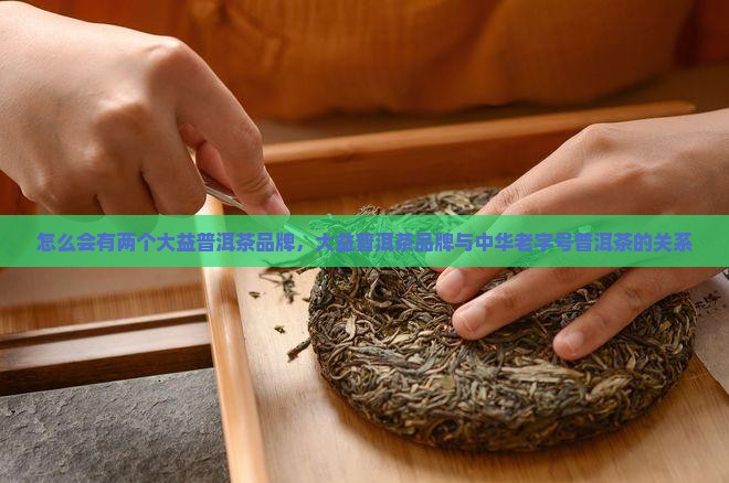 怎么有两个大益普洱茶品牌