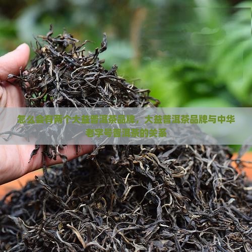 怎么有两个大益普洱茶品牌