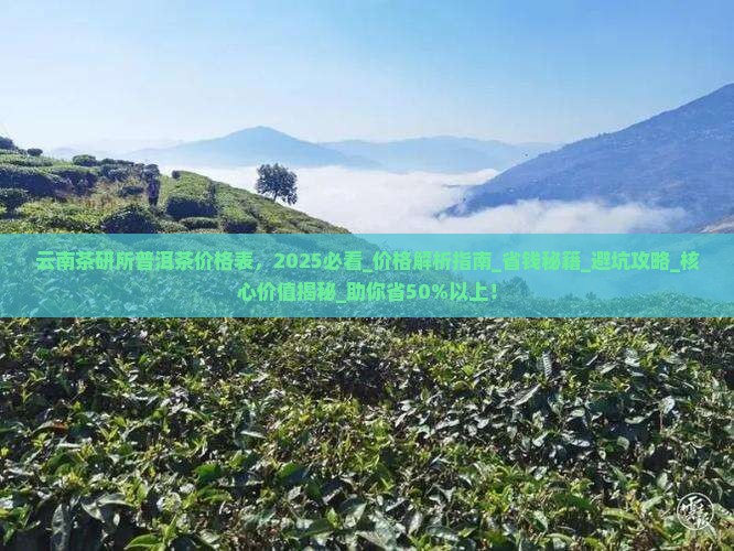 云南茶研所普洱茶价格表