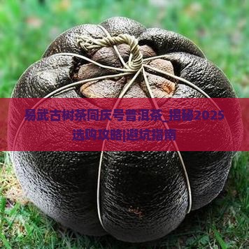 易武古树茶同庆号普洱茶