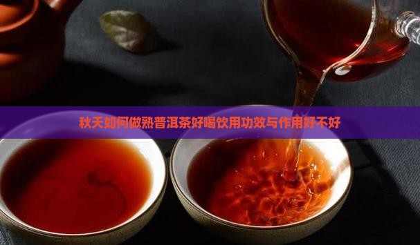 秋天如何做熟普洱茶