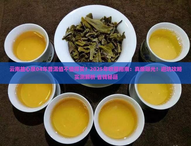 云南益心泉04年的普洱