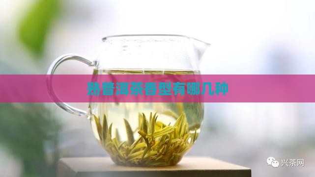 熟普洱茶香型有哪几种