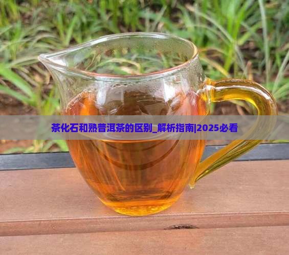 茶化石和熟普洱茶的区别