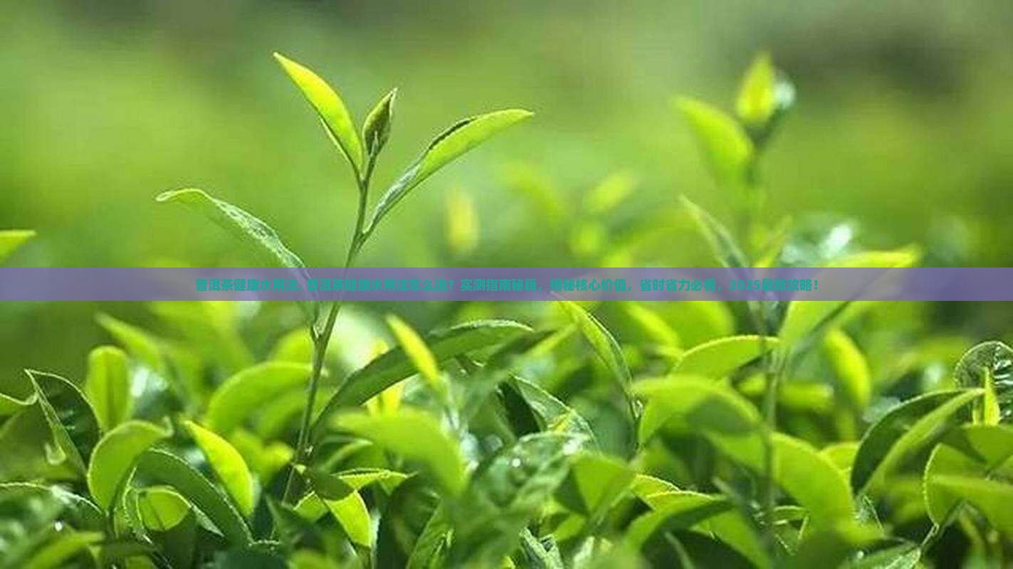 普洱茶健康水用法